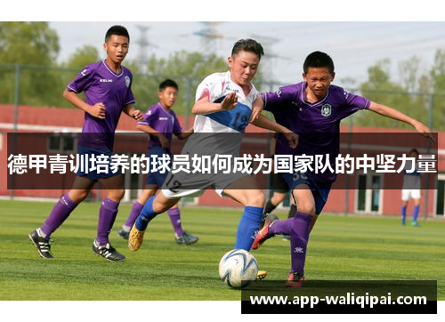 德甲青训培养的球员如何成为国家队的中坚力量