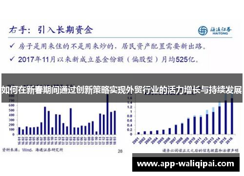 如何在新春期间通过创新策略实现外贸行业的活力增长与持续发展