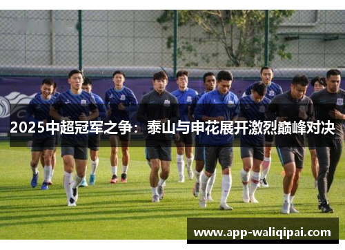 2025中超冠军之争：泰山与申花展开激烈巅峰对决