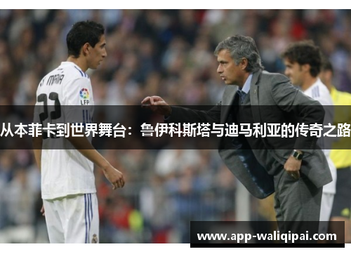 从本菲卡到世界舞台：鲁伊科斯塔与迪马利亚的传奇之路