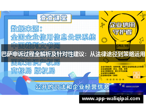 巴萨申诉过程全解析及针对性建议：从法律途径到策略运用