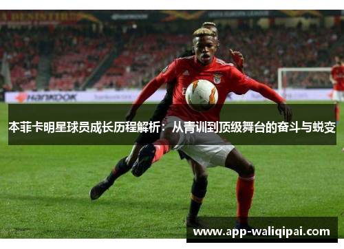 本菲卡明星球员成长历程解析：从青训到顶级舞台的奋斗与蜕变